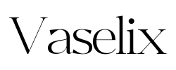 Vaselix - logo